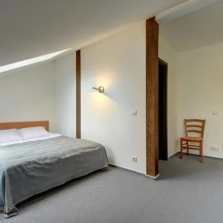 Aerohotel VNO