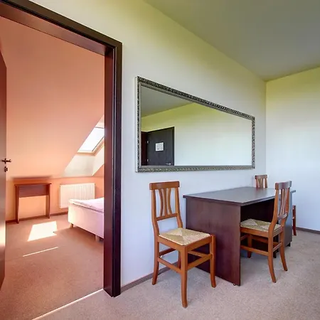 Aerohotel 3* וילנה