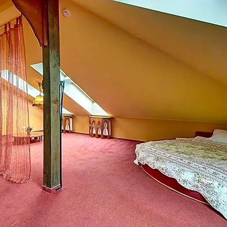 Aerohotel 3* וילנה
