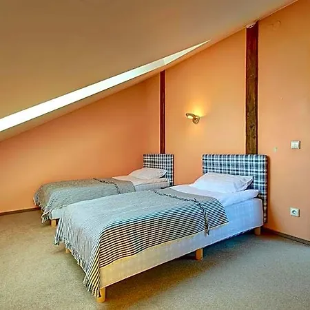 Aerohotel 3* וילנה